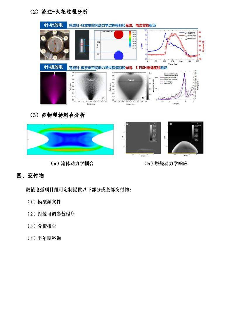 √等离子体放电数值分析解决方案jpg_Page4.jpg